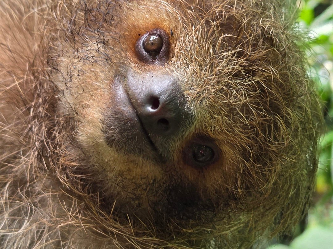 Matt's Fishing & Tours-萨迪纳尔必去景点