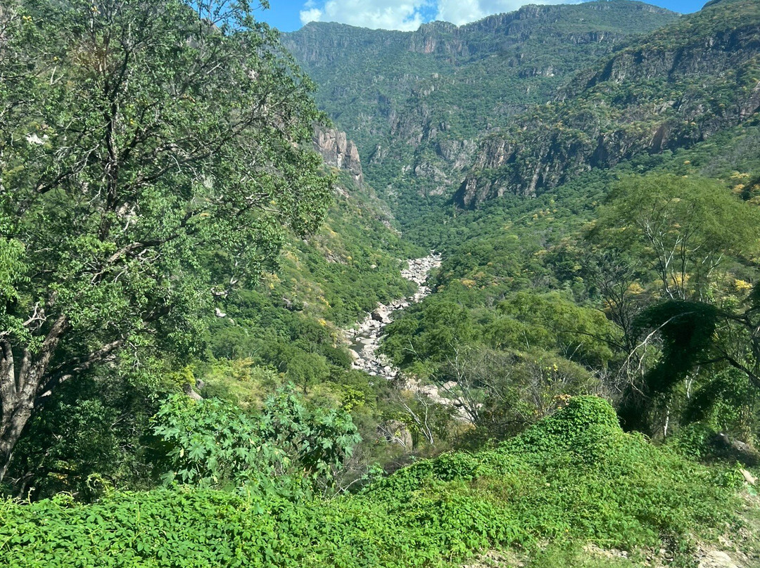 Copper Canyon Adventures-El Fuerte必去景点
