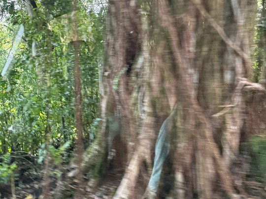 Hana Tours of Maui-毛伊岛必去景点