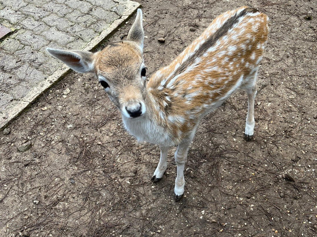 Llogora Tourist Village主图