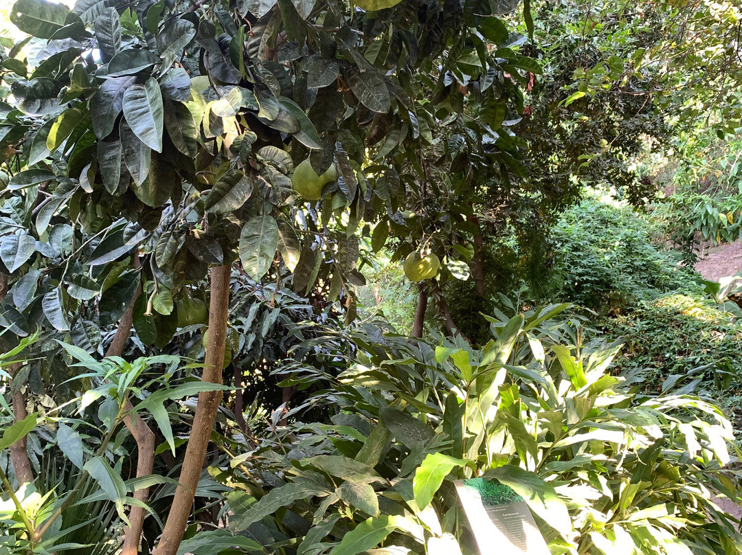 Botanical Park & Gardens of Crete-Omalos必去景点