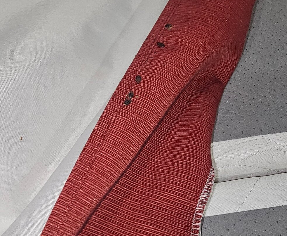 Western Plaza Inn主图