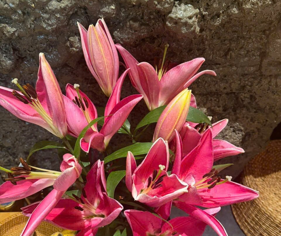 Hamita Wellness Spa-胡志明市必去景点