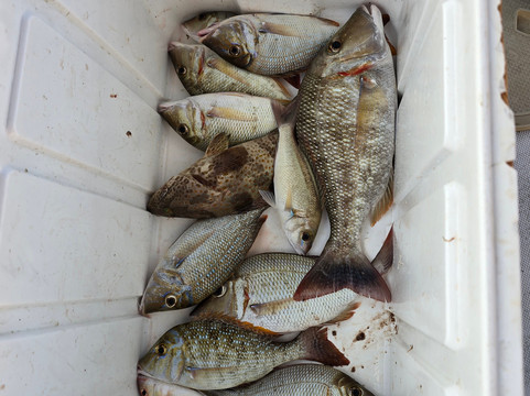 Nanje Yachts & Boat Rental Dubai-迪拜必去景点