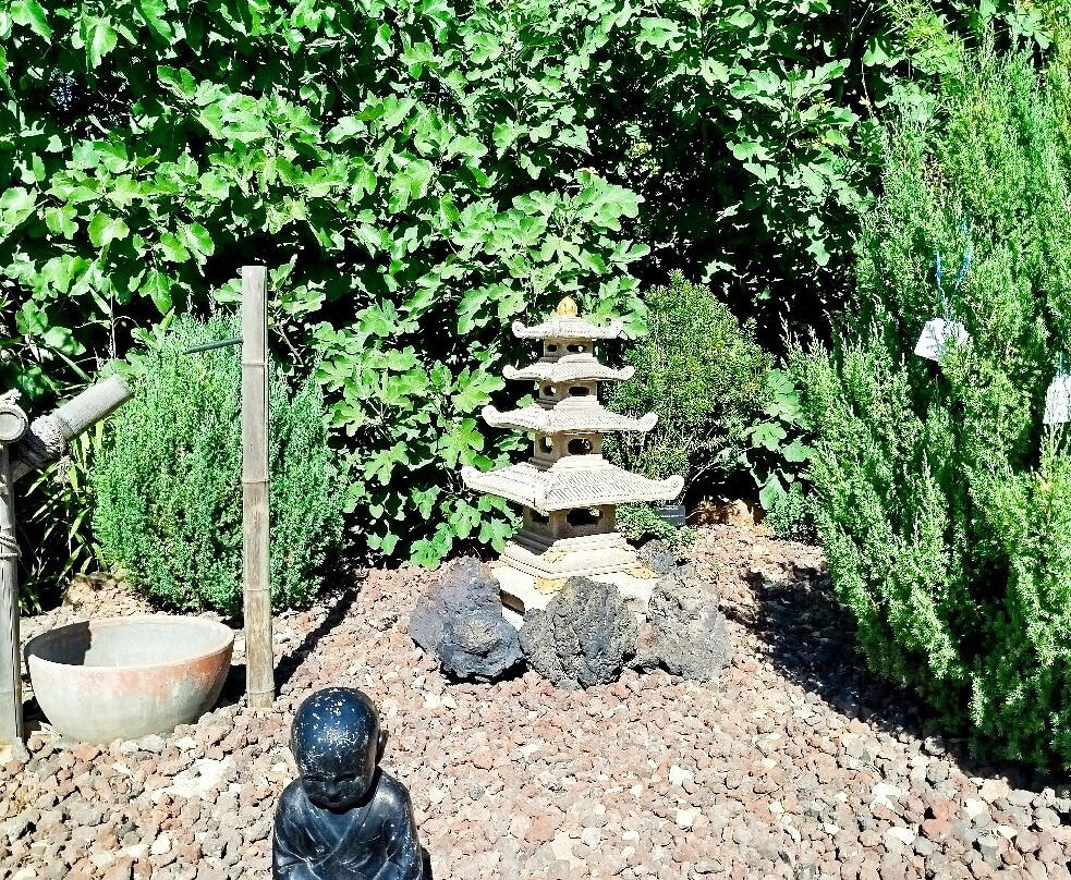 Jardin Botanico de Castilla-La Mancha-阿尔瓦塞特必去景点