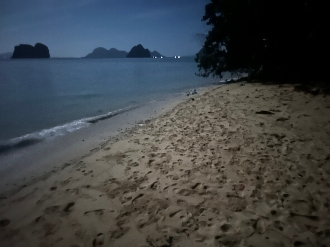 爱岛可可小屋主图