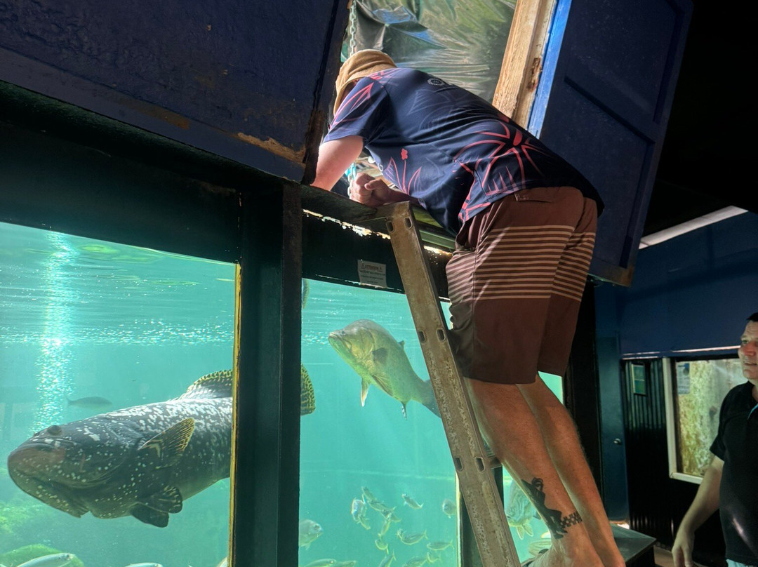 Reefworld Aquarium-尤兰根必去景点