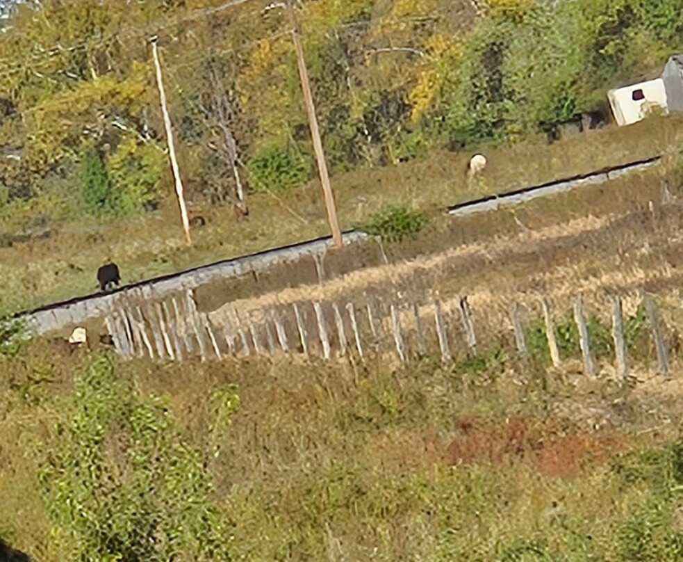 Potomac Eagle Scenic Railroad-Romney必去景点