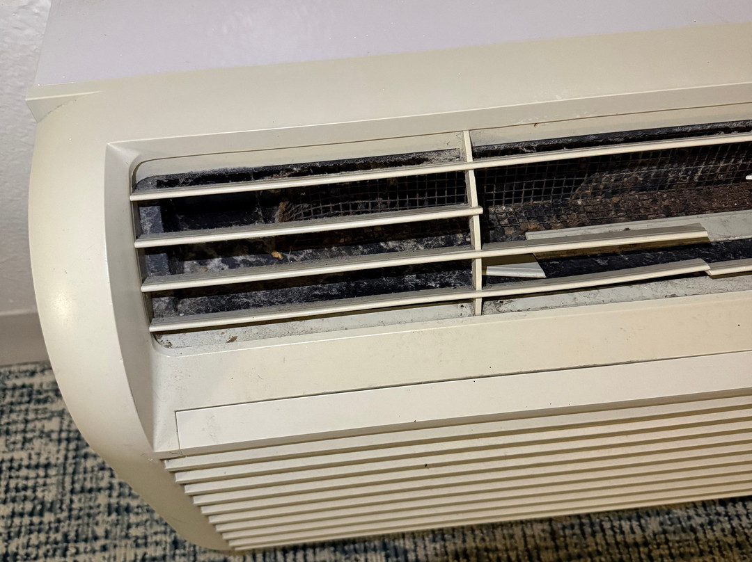 Wingate by Wyndham Hattiesburg主图