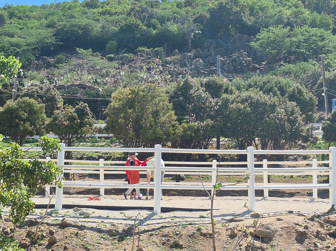 Seaside Nature Park-Sint Maarten必去景点