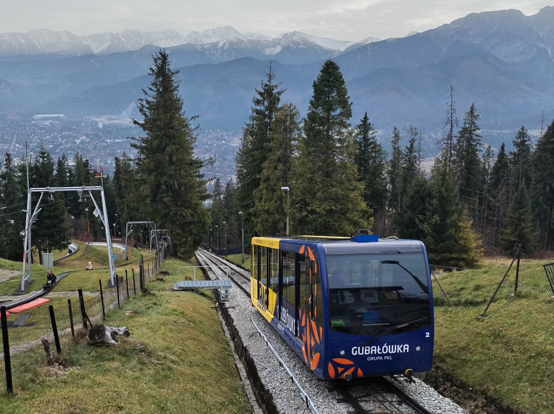 Cmentarz Zasluzonych na Peksowym Brzyzku-扎科帕内必去景点