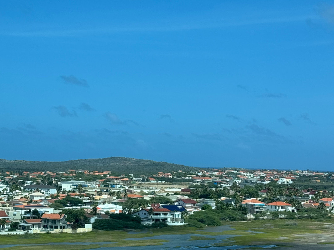 Radisson Blu Aruba主图