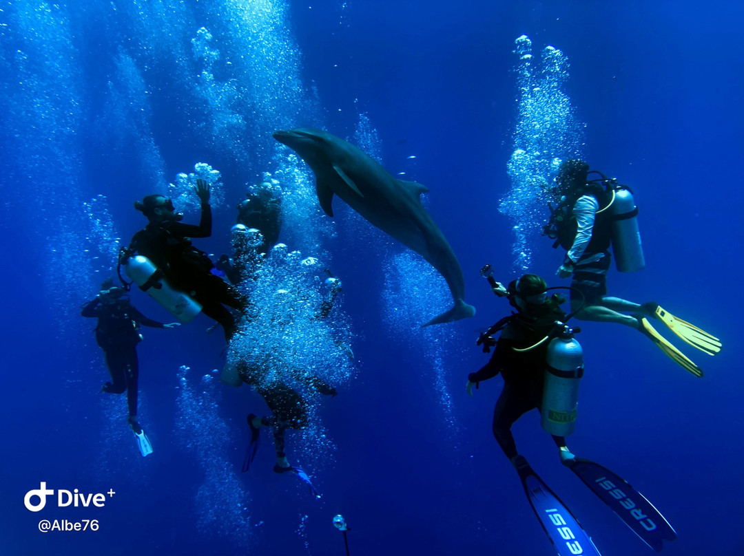 TOPDIVE Rangiroa-阿瓦托鲁必去景点