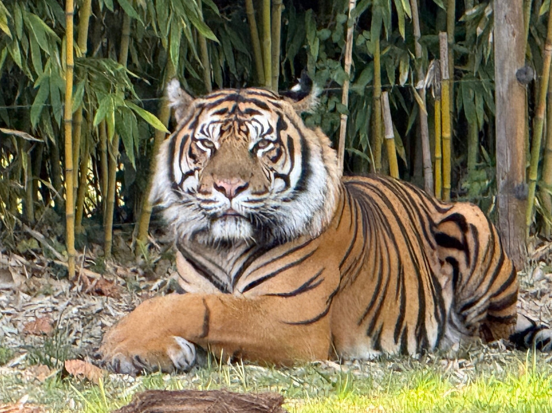Zoo Bassin d'Arcachon-拉泰斯特德比克必去景点