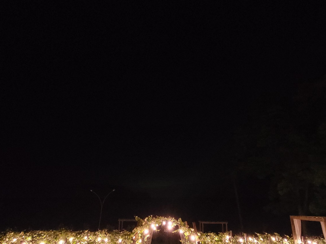 Lote20 Hotel Boutique主图