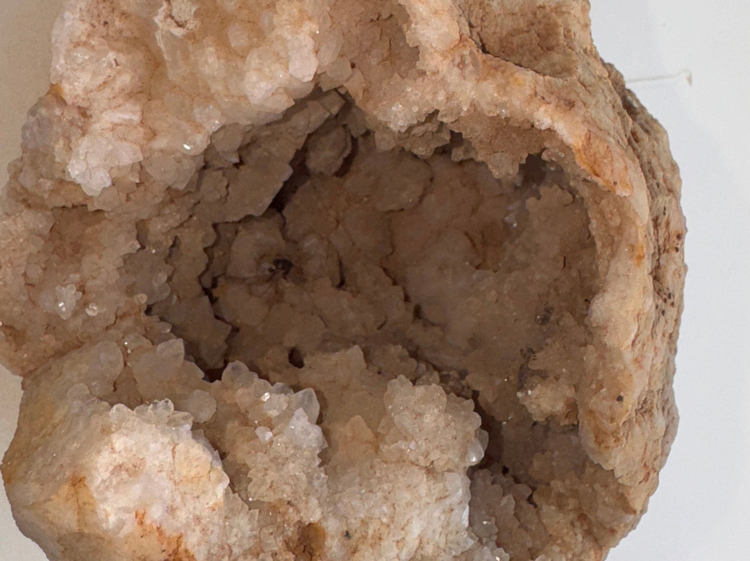 Washington-Slagbaai National Park Visitor Center Museum-Washington-Slagbaai National Park必去景点