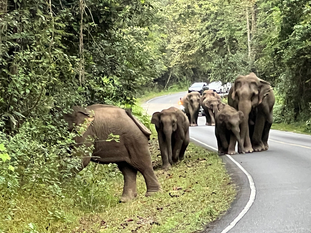 Green Leaf Tour-北冲县必去景点