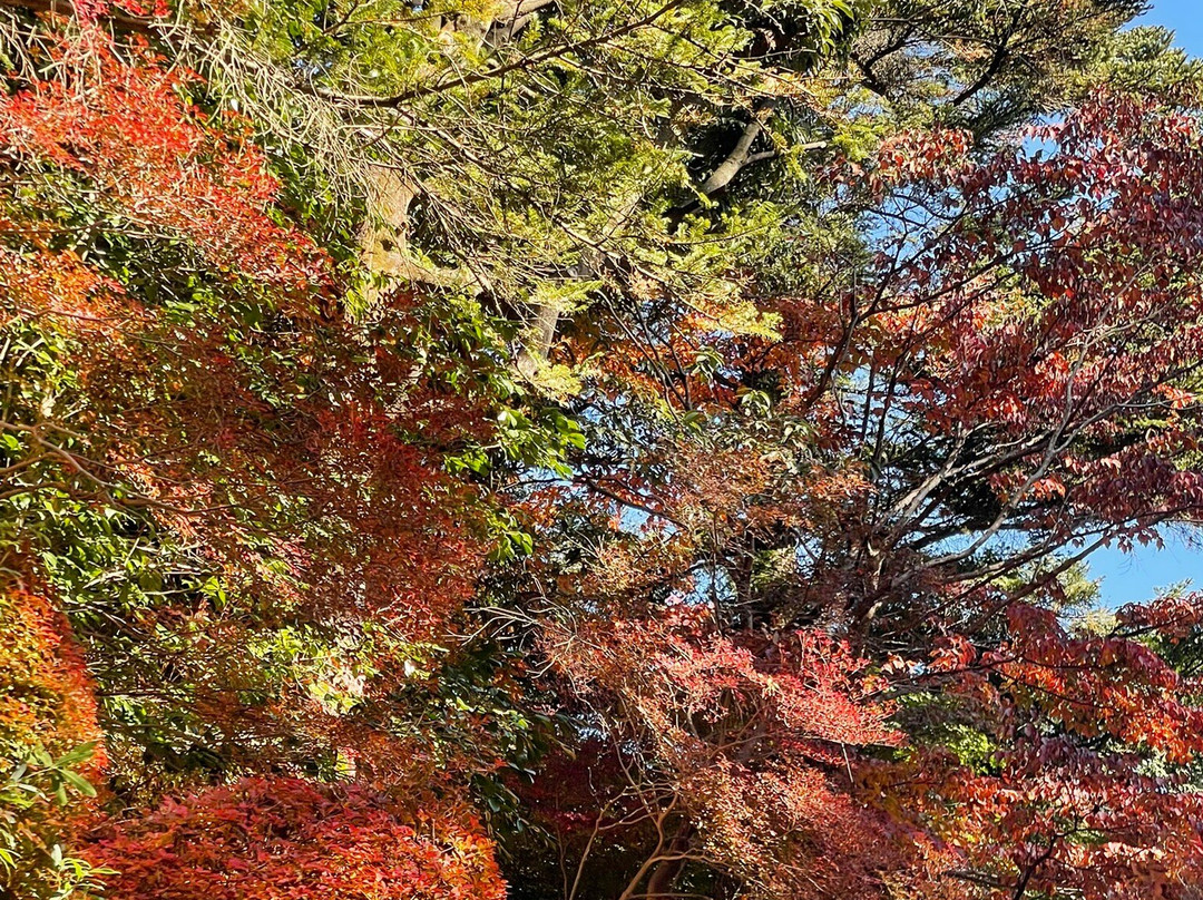 Mt. Takao Chairlift-八王子市必去景点