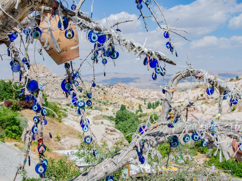 Evil Eye Tree-乌奇萨必去景点