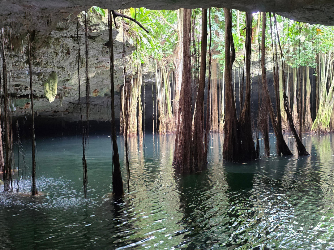 Cenote La Casa De Los Pájaros-Tizimin必去景点