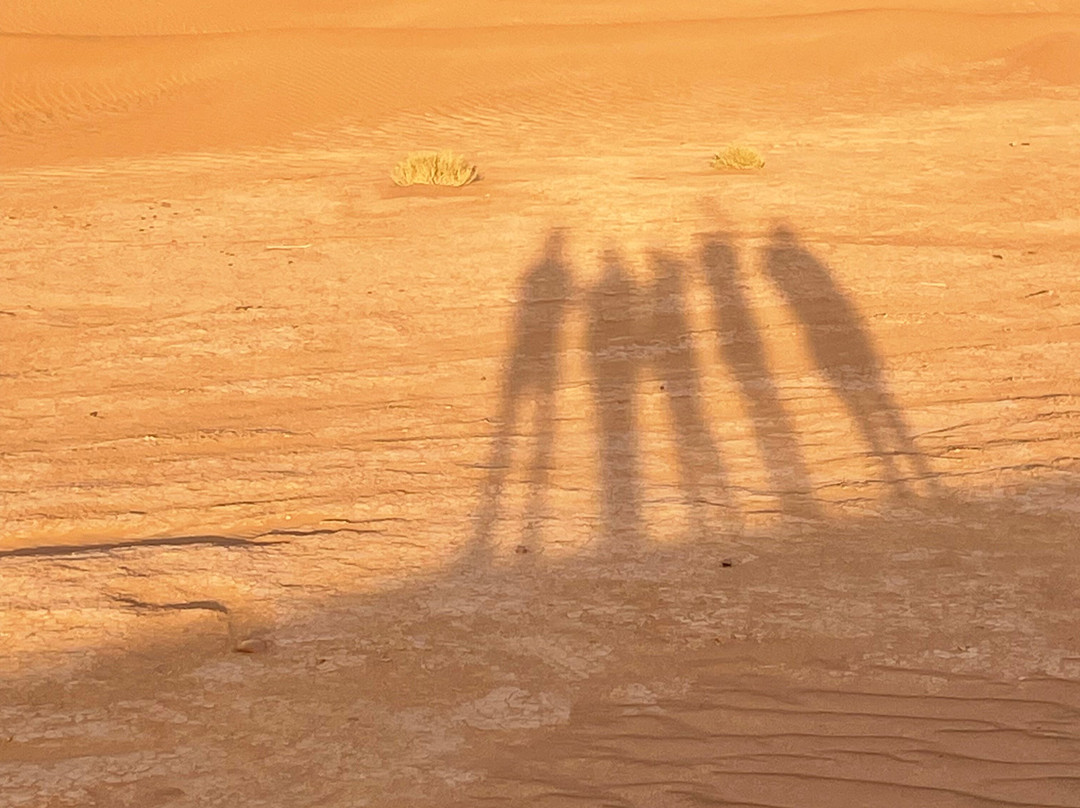 Sahara Surprise-迈哈米德必去景点