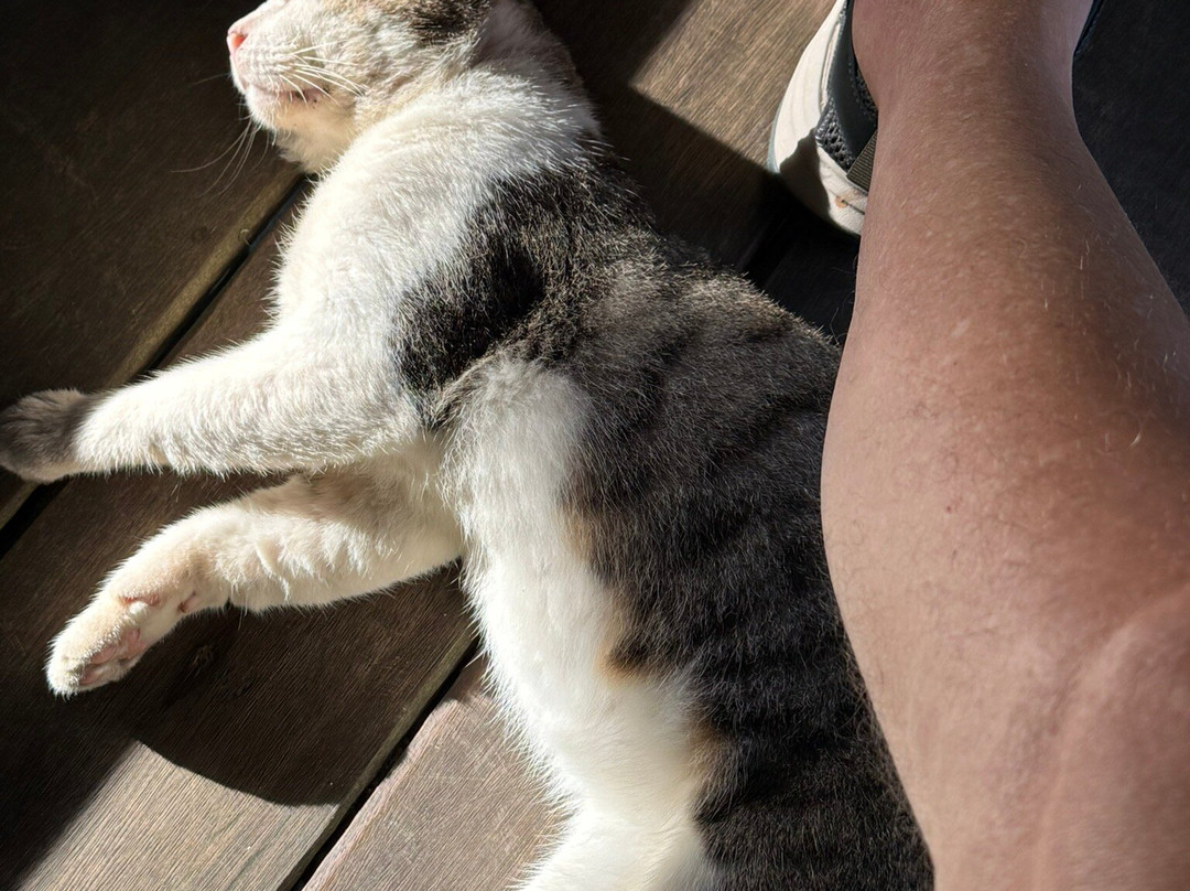 Maratua Guesthouse主图