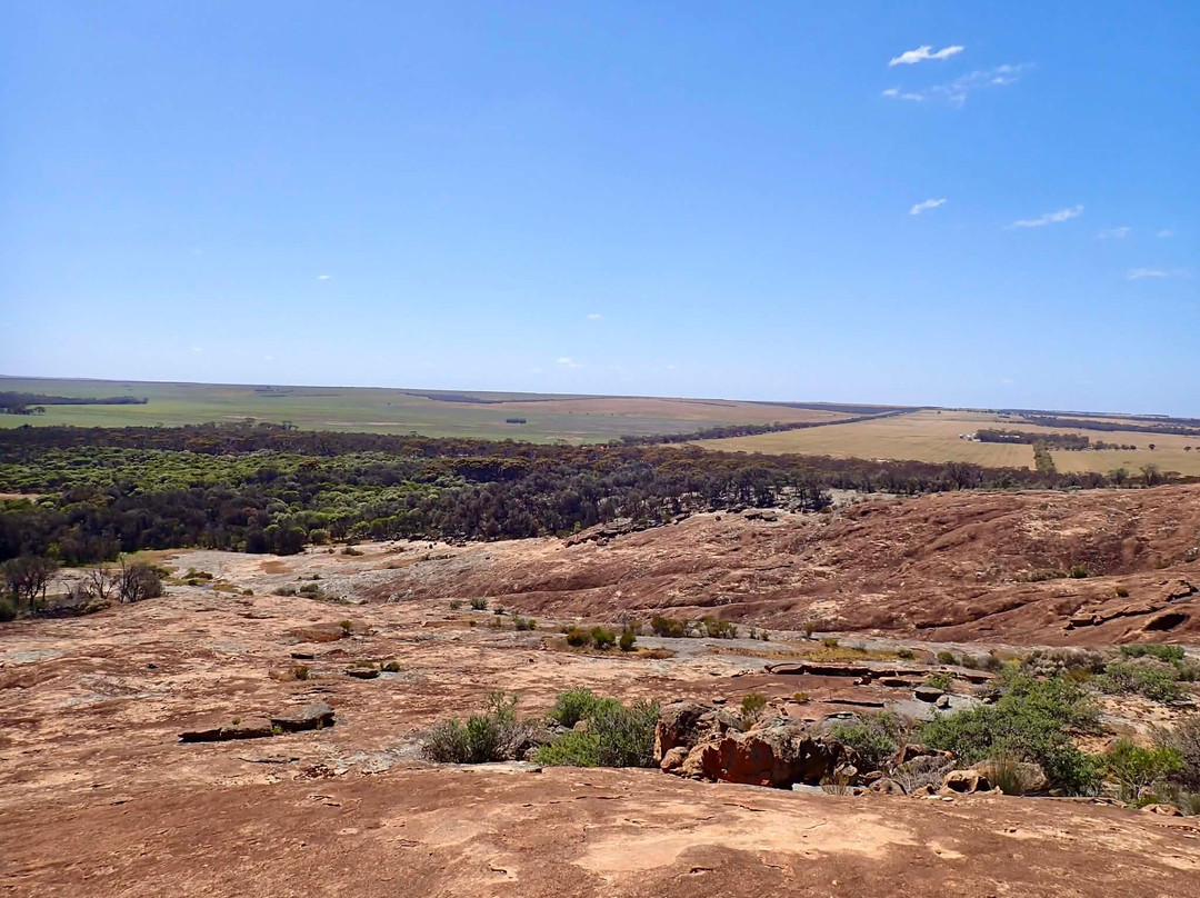 Wave Rock-海顿必去景点
