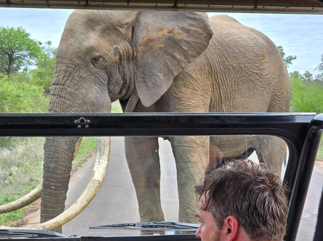 Honey Badger Safaris Kruger Tours-玛洛斯帕克必去景点