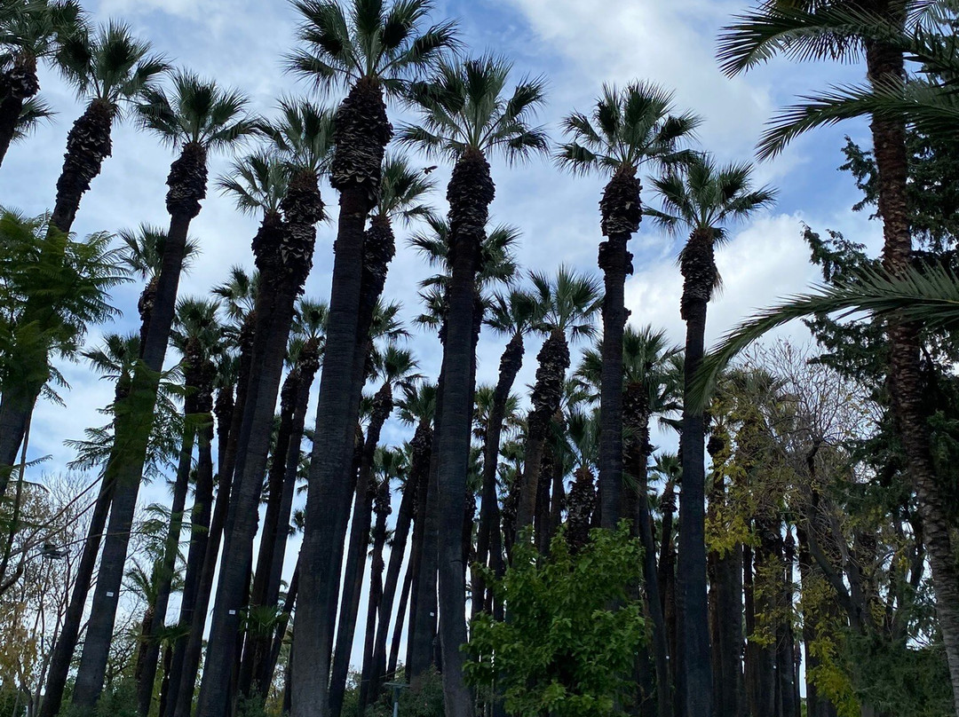 Kulturpark-Konak必去景点