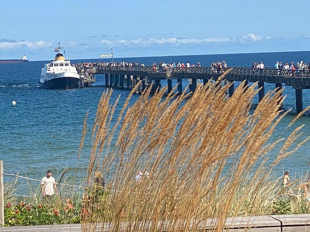 Seebrucke Binz-奥茨巴德宾兹必去景点