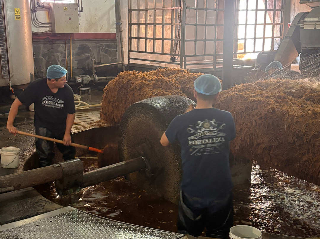 Tequila Fortaleza-特基拉必去景点