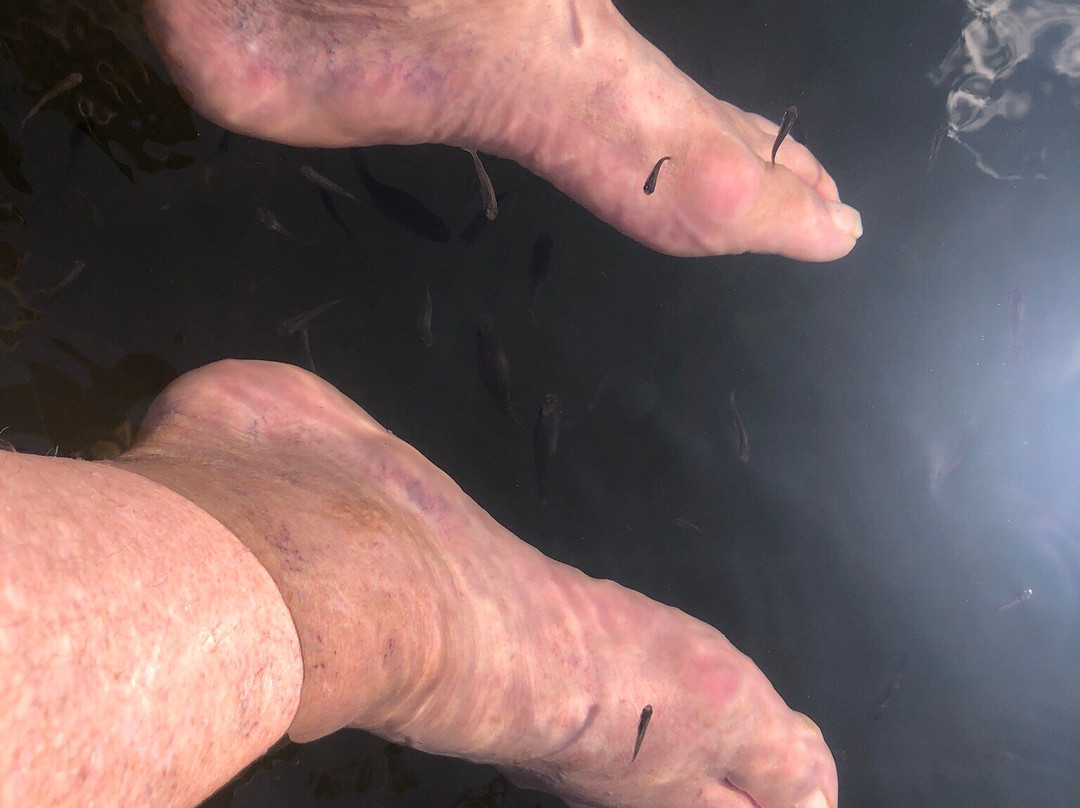 Crane Point Museum & Nature Center-马拉松必去景点