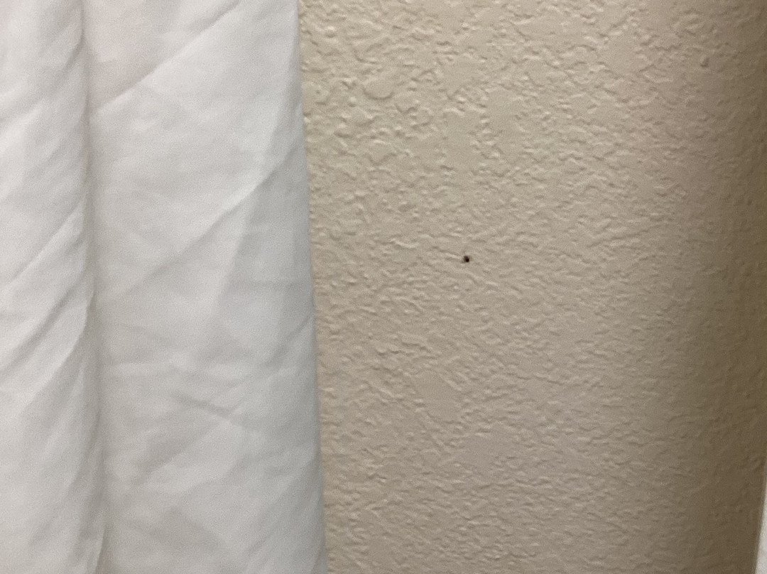 Baymont by Wyndham Ridgeland I-95主图