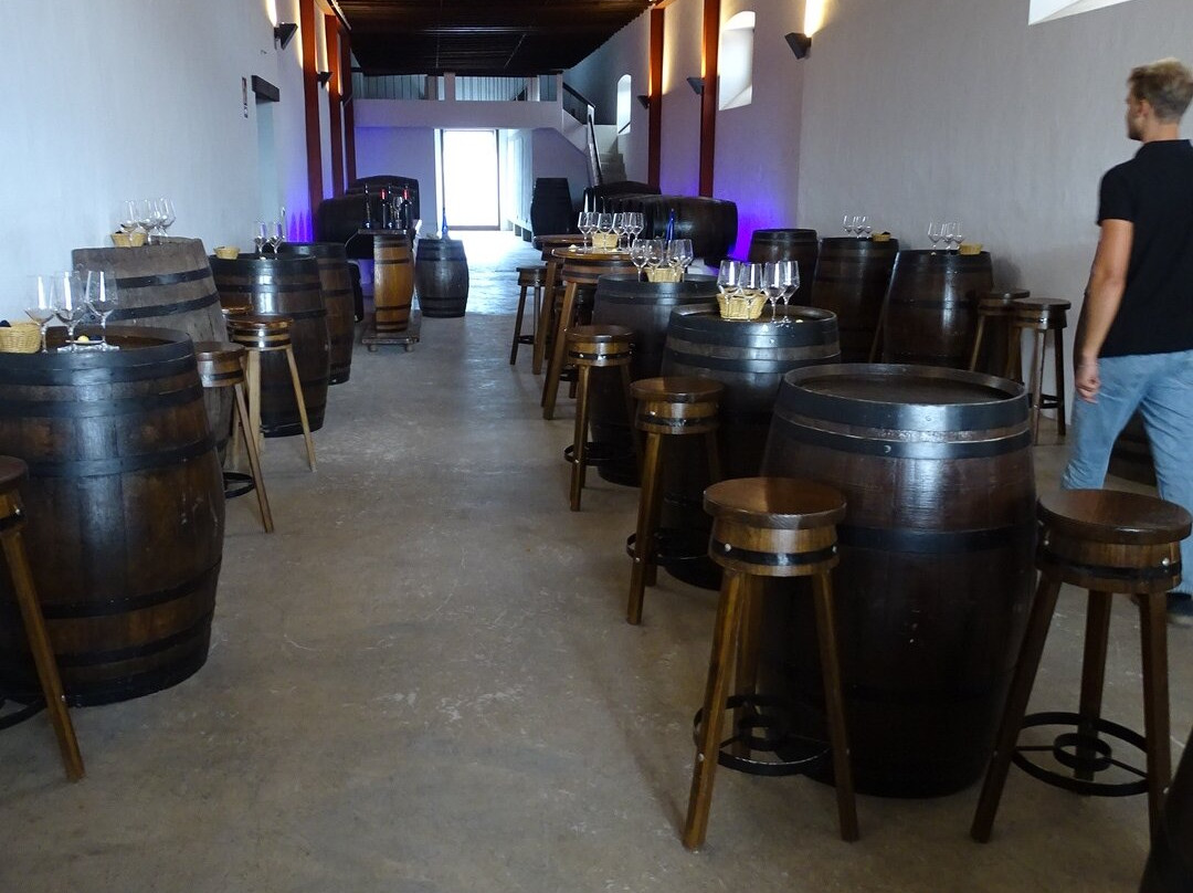 Finca Testeina - Bodegas Vega de Yuco-Masdache必去景点