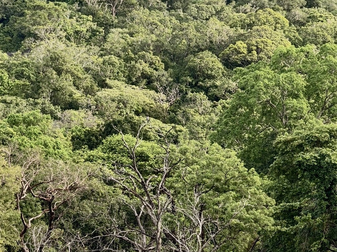 Ulpotha Yoga Retreat & Ayurveda Resort-Ulpotha Village必去景点