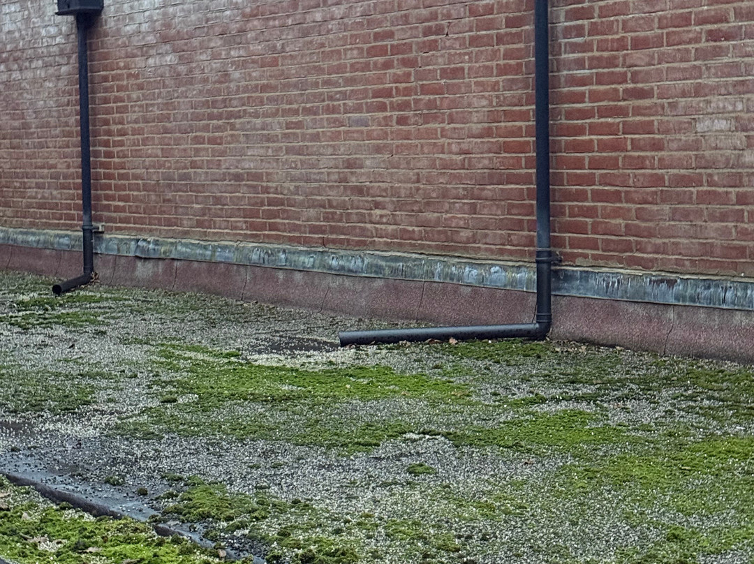 Hanbury Manor Marriott Hotel & Country Club主图