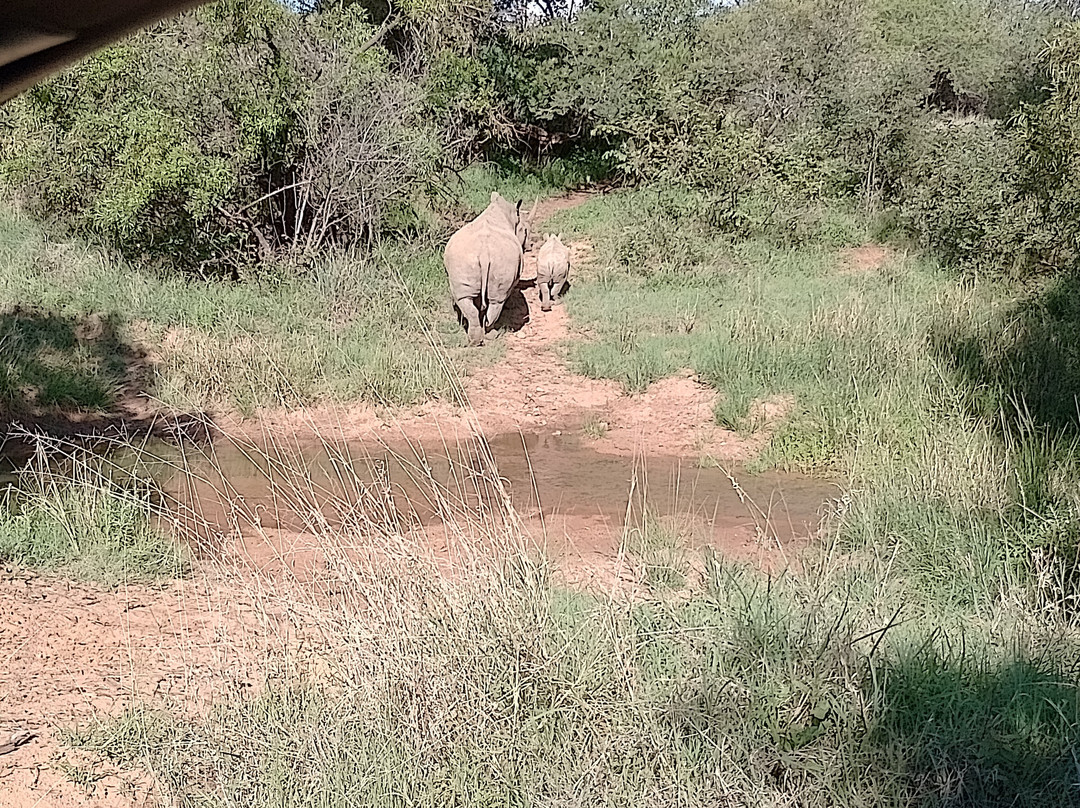 Mabalingwe Nature Reserve-贝拉贝拉必去景点