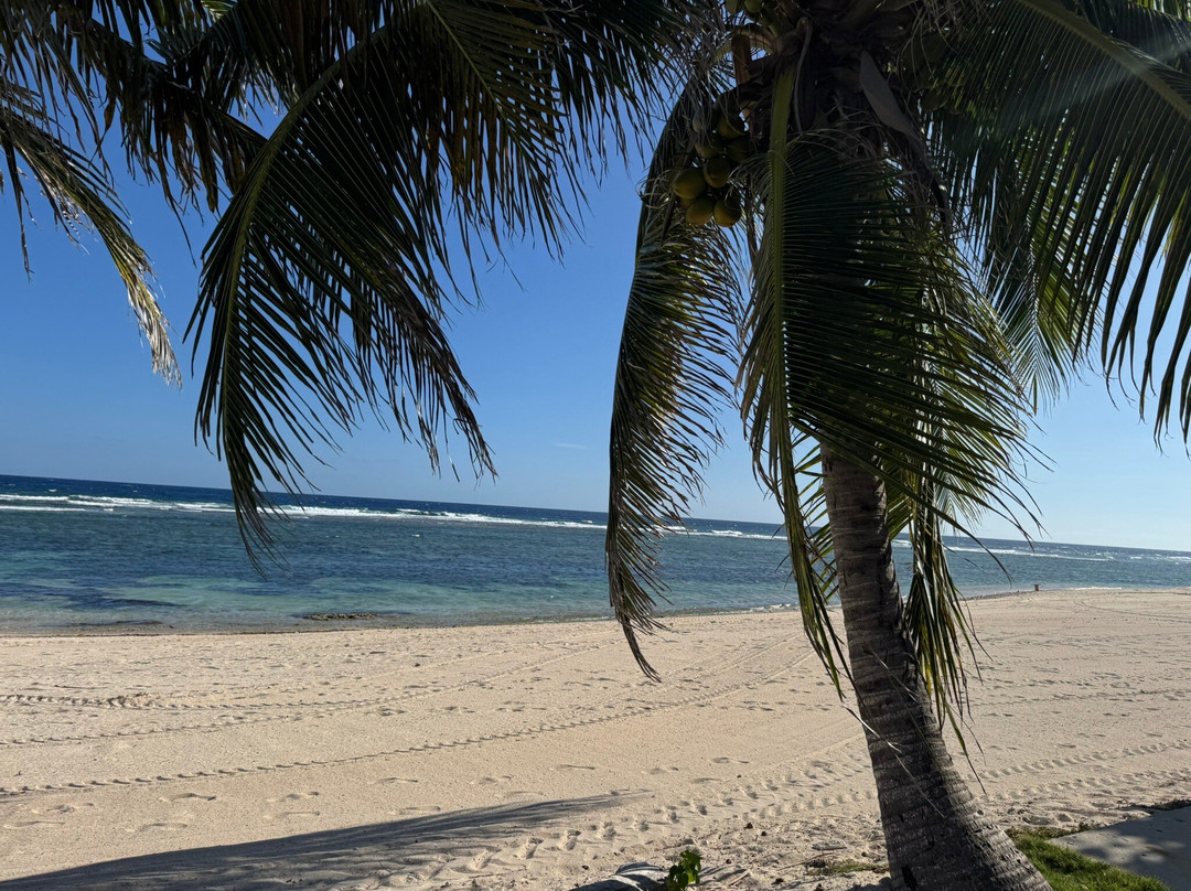 Joe Tourist Outdoor Adventures-乔治城必去景点