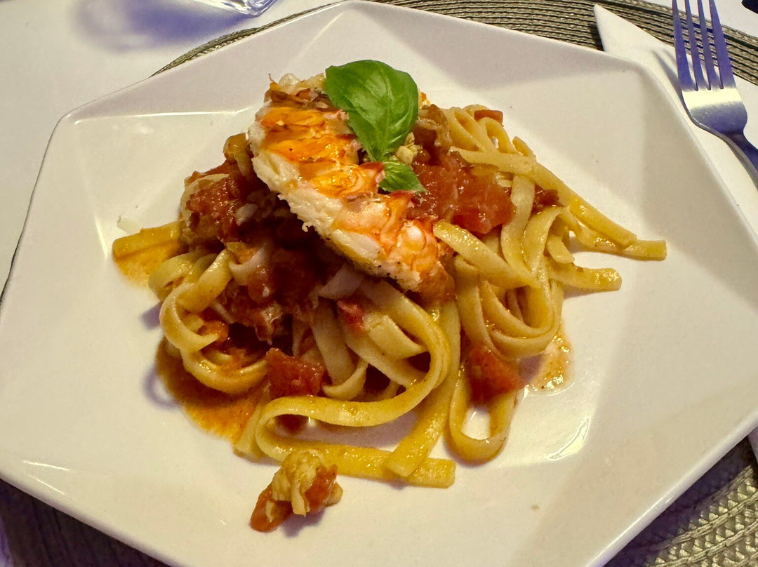 Catamaran Adventures San Blas-埃尔波韦尼尔必去景点