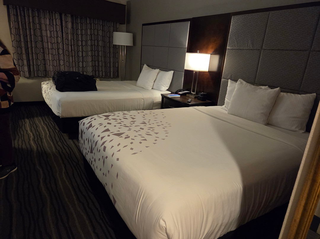 普莱森顿都柏林拉金塔旅馆及套房酒店主图