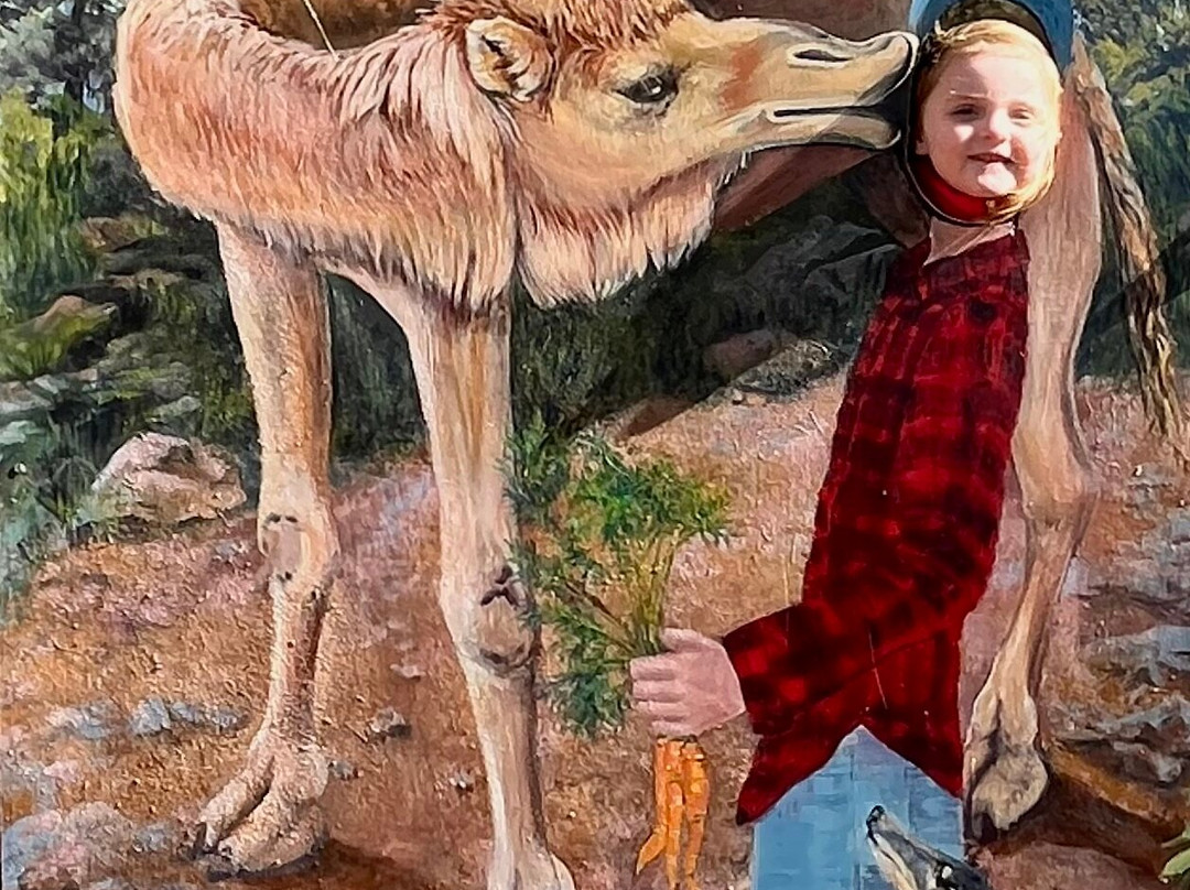 大峡谷鹿场-威廉姆斯必去景点