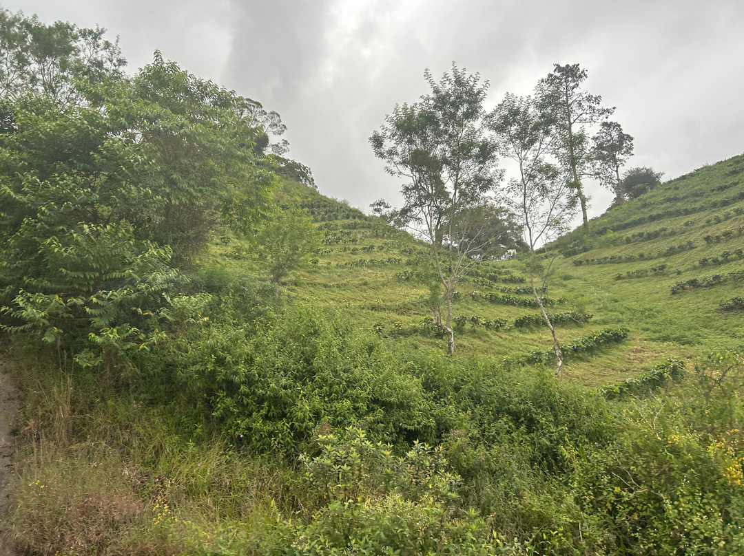 Panama Relocation Tours-波魁特必去景点