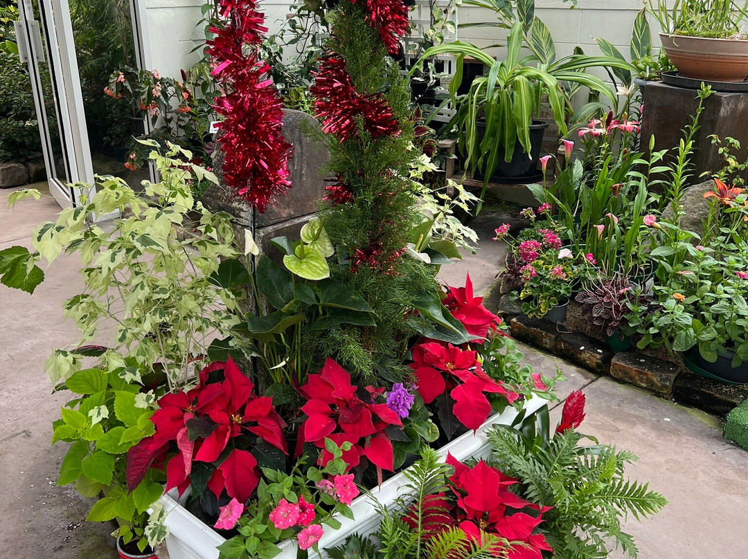 Botanica Whangarei-璜加雷必去景点