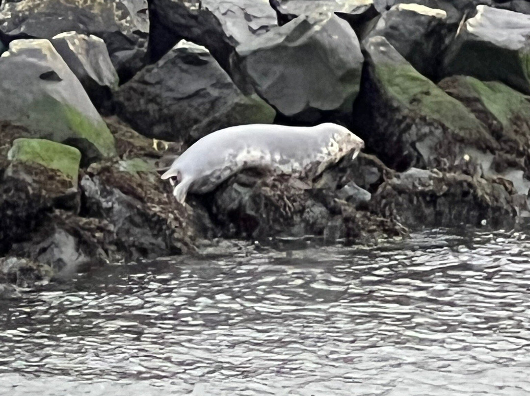 Eyemouth Harbour-Eyemouth必去景点