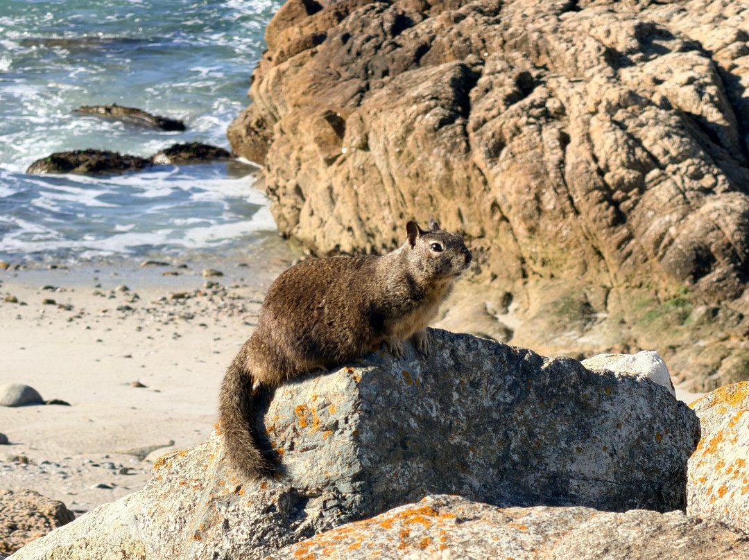 City Tours Usa-纽约市必去景点