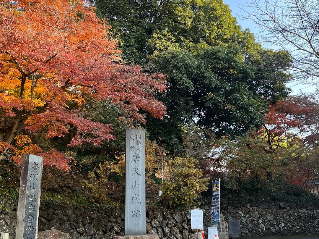 Karasawayama Castle Ruins-佐野市必去景点