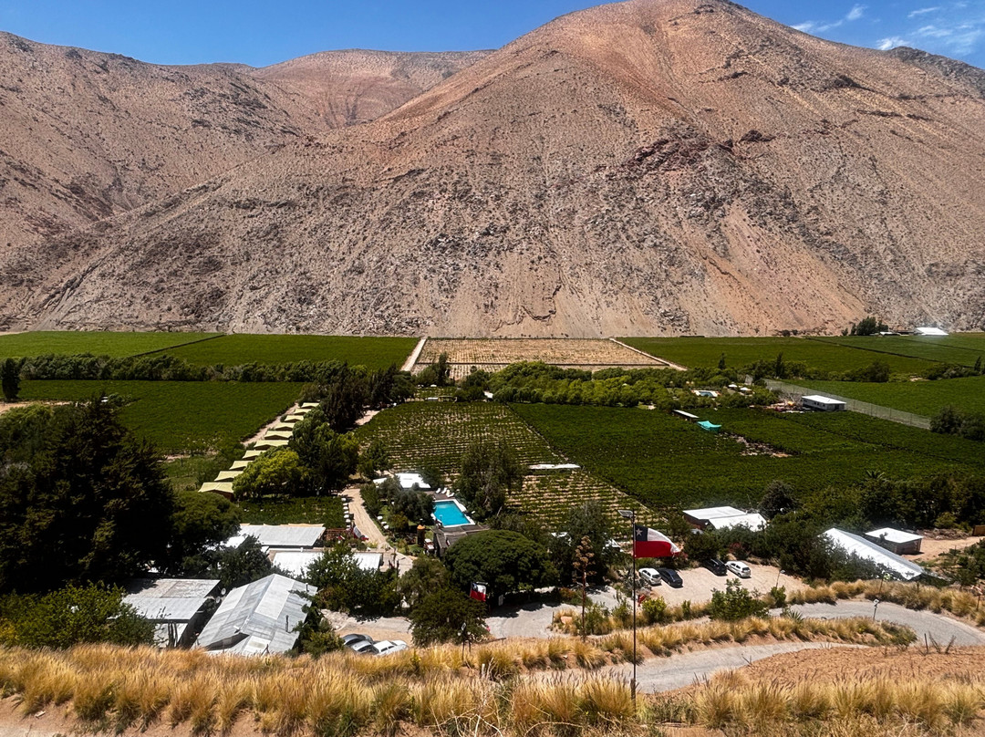 Doña Josefa de Elqui - Pisco Artesanal-Pisco Elqui必去景点