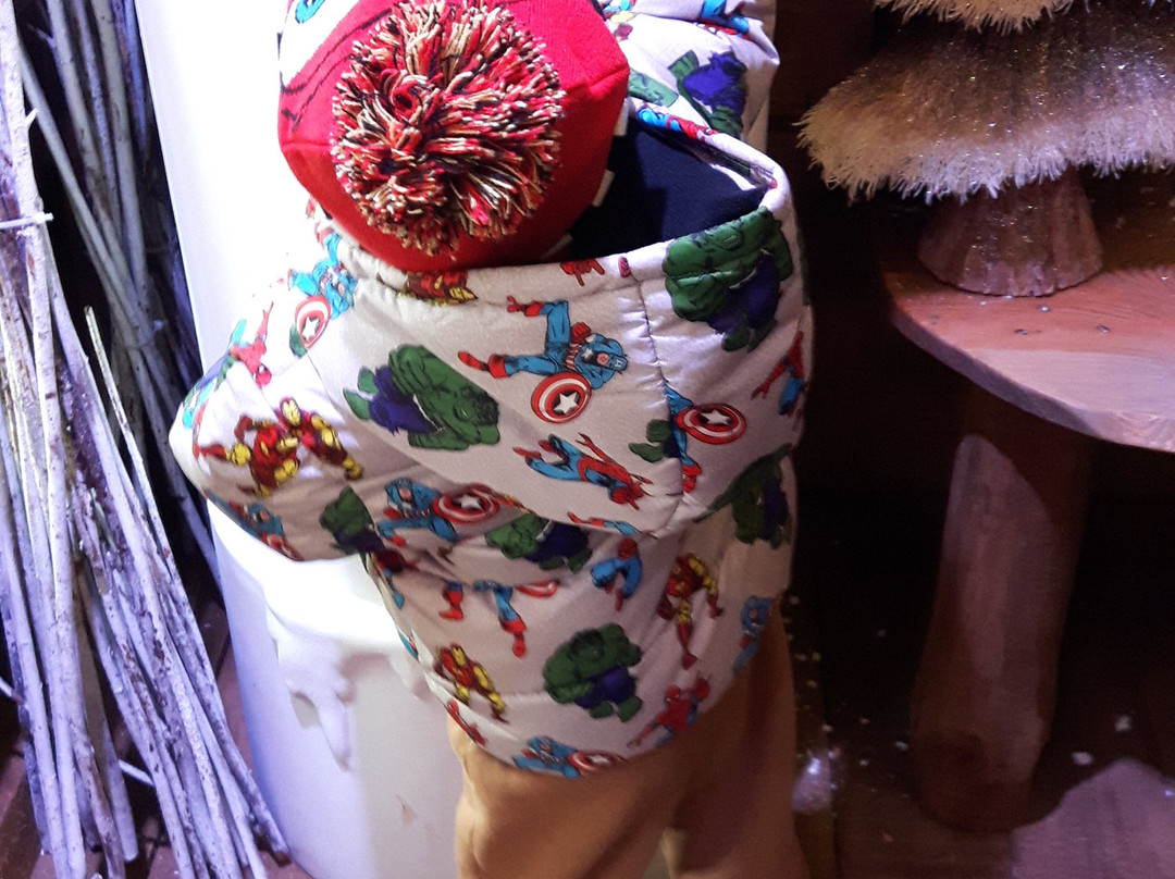 Mother Shipton's Cave-Knaresborough必去景点