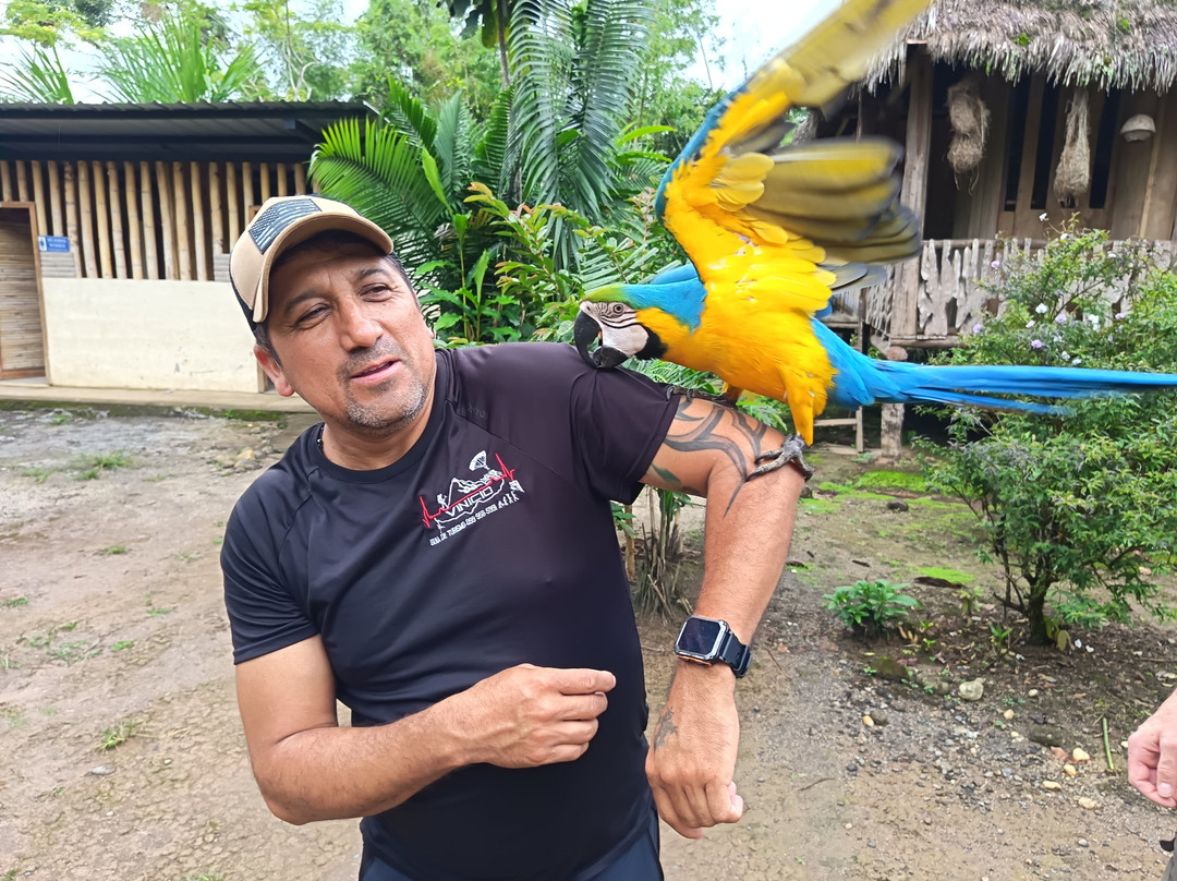 Servi Taxi Baños-巴尼奥斯必去景点