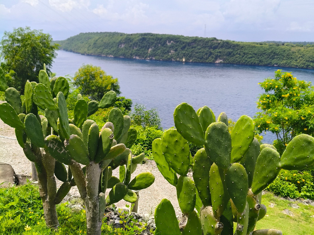 INDO COMPASS BALI-珀尼达岛必去景点
